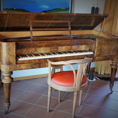 holz_2017_07_29_13h32m07.jpg